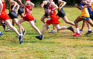 Championnats régionaux de cross Laval (53) 01/02/2026