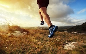 Sortie du dimanche 22 mars 2026